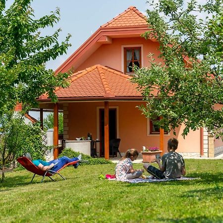 Apartamento Planinca -Hisa Z Razgledom Smarje pri Jelsah Exterior foto