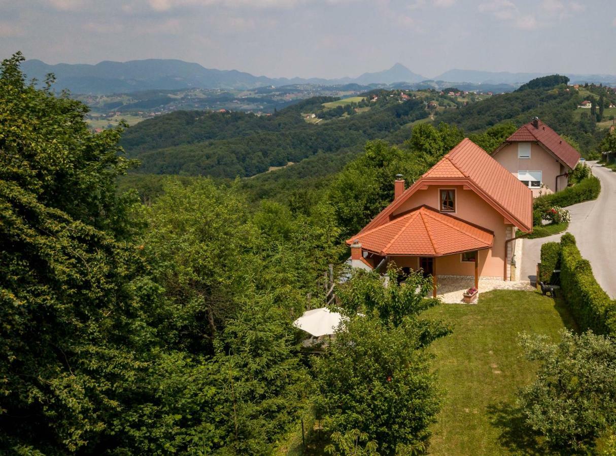 Apartamento Planinca -Hisa Z Razgledom Smarje pri Jelsah Exterior foto