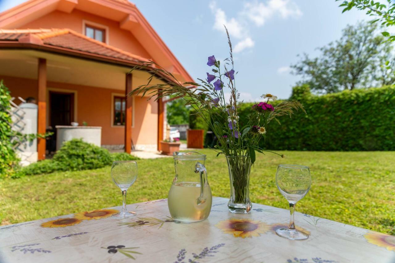 Apartamento Planinca -Hisa Z Razgledom Smarje pri Jelsah Exterior foto