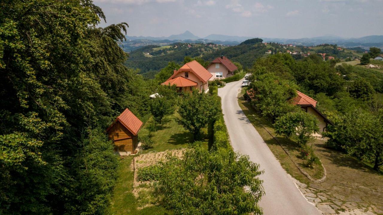 Apartamento Planinca -Hisa Z Razgledom Smarje pri Jelsah Exterior foto