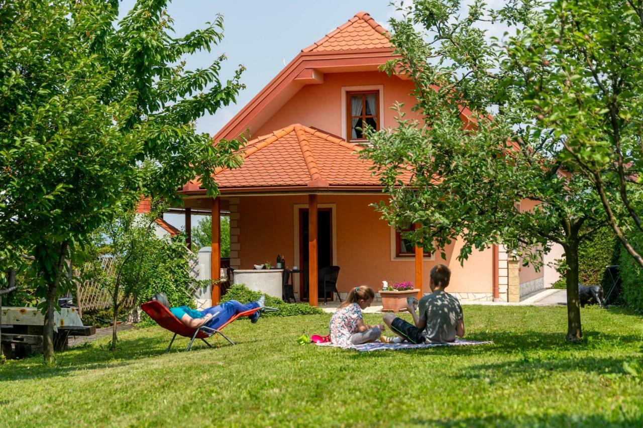 Apartamento Planinca -Hisa Z Razgledom Smarje pri Jelsah Exterior foto